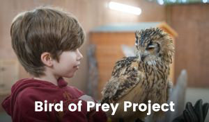 An owl perches on a boy’s arm as they look at each other. The boy wears a thick leather glove for protection