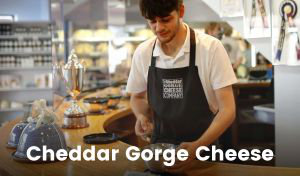 A young man wearing an apron with the text ‘Cheddar Gorge Cheese Company’ prepares cheese samples in a brightly lit shop with a curving wooden service counter.