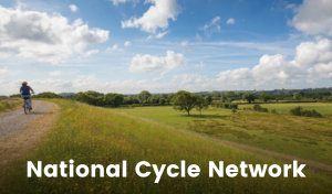 A cyclist pedals down a level gravel cycle path. There are some fluffy white clouds in the sky and the sun is shining. The ground gently slopes away to the right, dotted with little yellow flowers and trees in the distance.