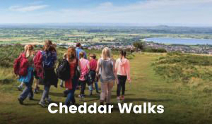 A group of family and friends walk down a gentle grassy slope, with low-lying plants alongside the path. They are walking down towards the village of Cheddar, and the reservoir is visible in the distance