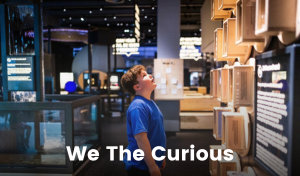A boy wearing a blue shirt looks up at a display wall at We The Curious in Bristol, a science attraction for families. There are numerous displays and interactive activities behind the boy, filling the rest of the room.